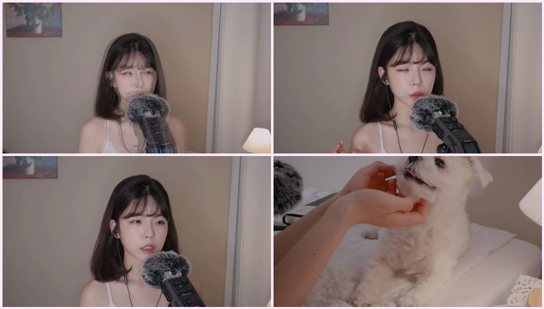 ASMR │, , _ ?, , , 耳语 妍珠 ASMR视频